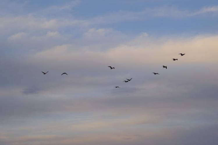 USA_2011-11-27 15-57-50
